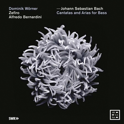 Johann Sebastian Bach <br>Cantatas and Arias for Bass <br>Dominik Wörner, Zefiro, Alfredo Bernardini <br>Outhere Music