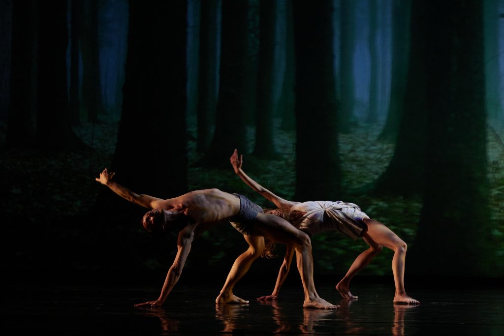 В Большом театре покажут новые балеты Посохова и Кейхеля