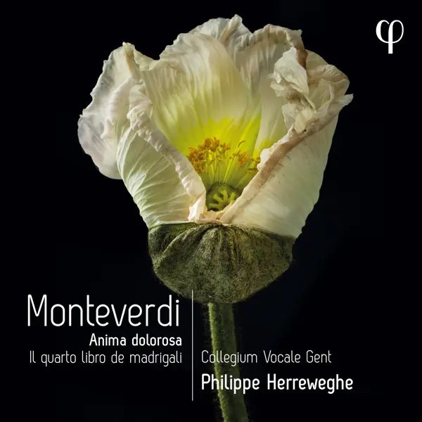 Monteverdi. Anima Dolorosa</br>Il quarto libro de madrigali</br>Collegium Vocale Ghent</br>Philippe Herreweghe</br>Alpha